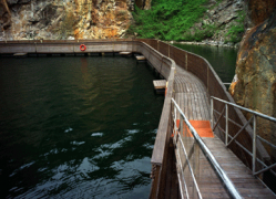 尋求戰略合作合夥人