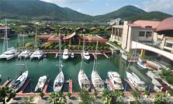 自貿港東風下遊艇產業發展的思考