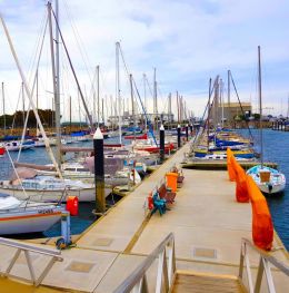 帆船港改造 浮動平台建設 谘詢報價