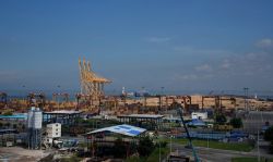 德立遊艇碼頭：建設碼頭需要什麼手續？