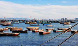 利比裏亞漁業合作項目 Liberia Fisheries Cooperation Project